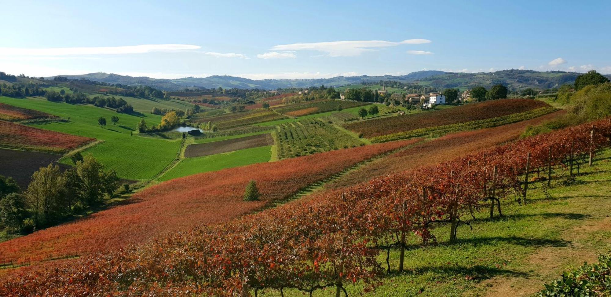 Agriturismo Opera 02 Кастельветро-ді-Модена Екстер'єр фото