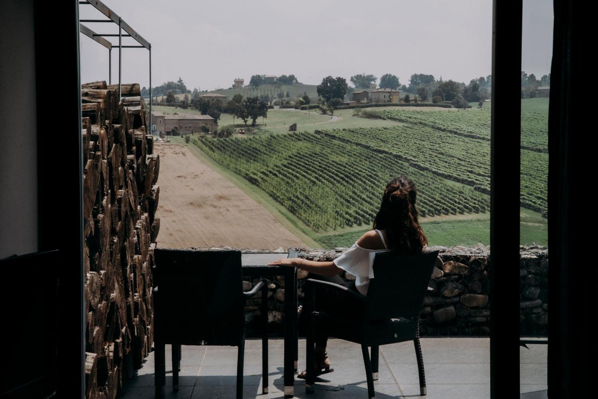 Agriturismo Opera 02 Кастельветро-ді-Модена Екстер'єр фото